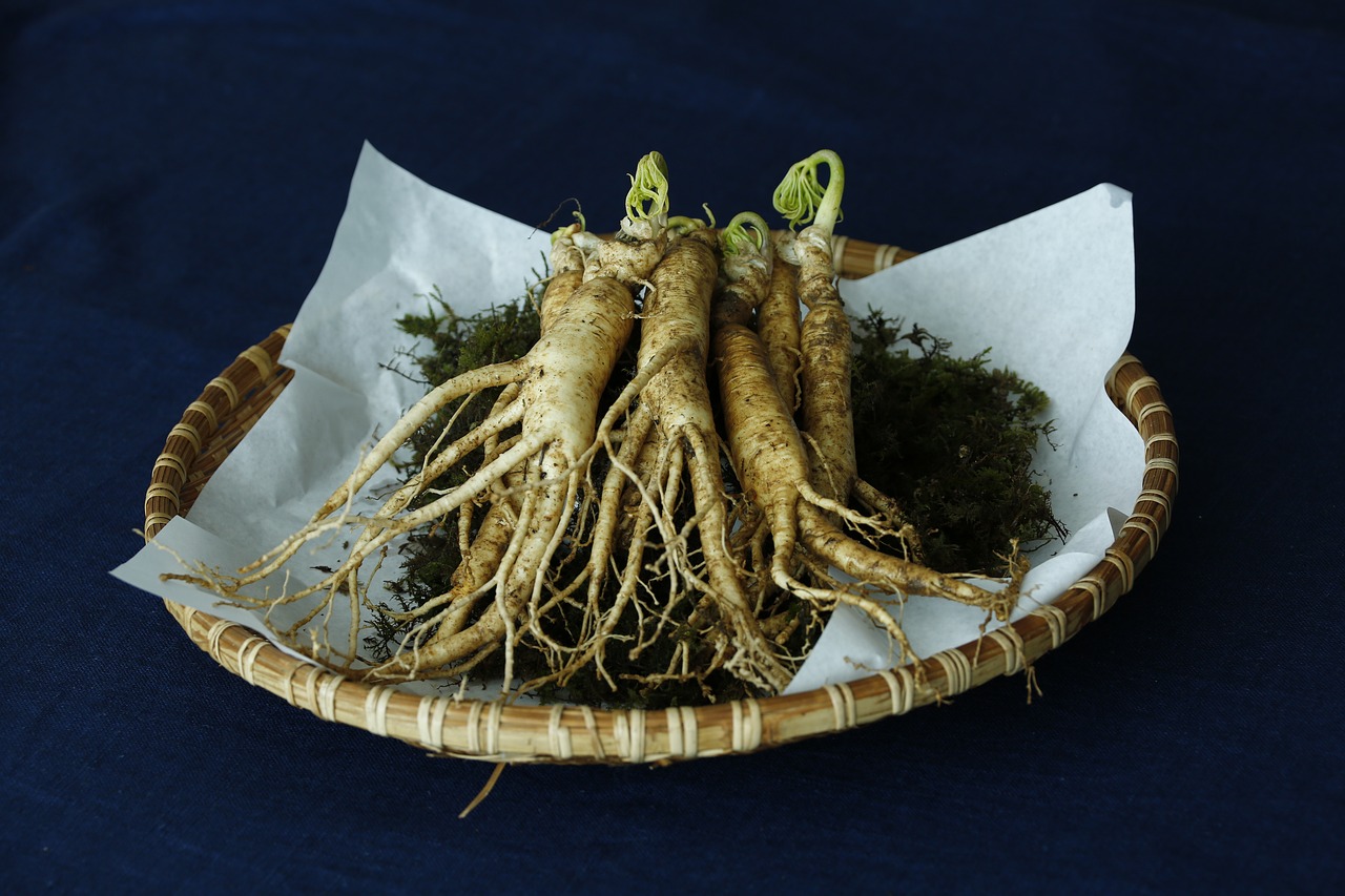 ginseng aphrodisiaque